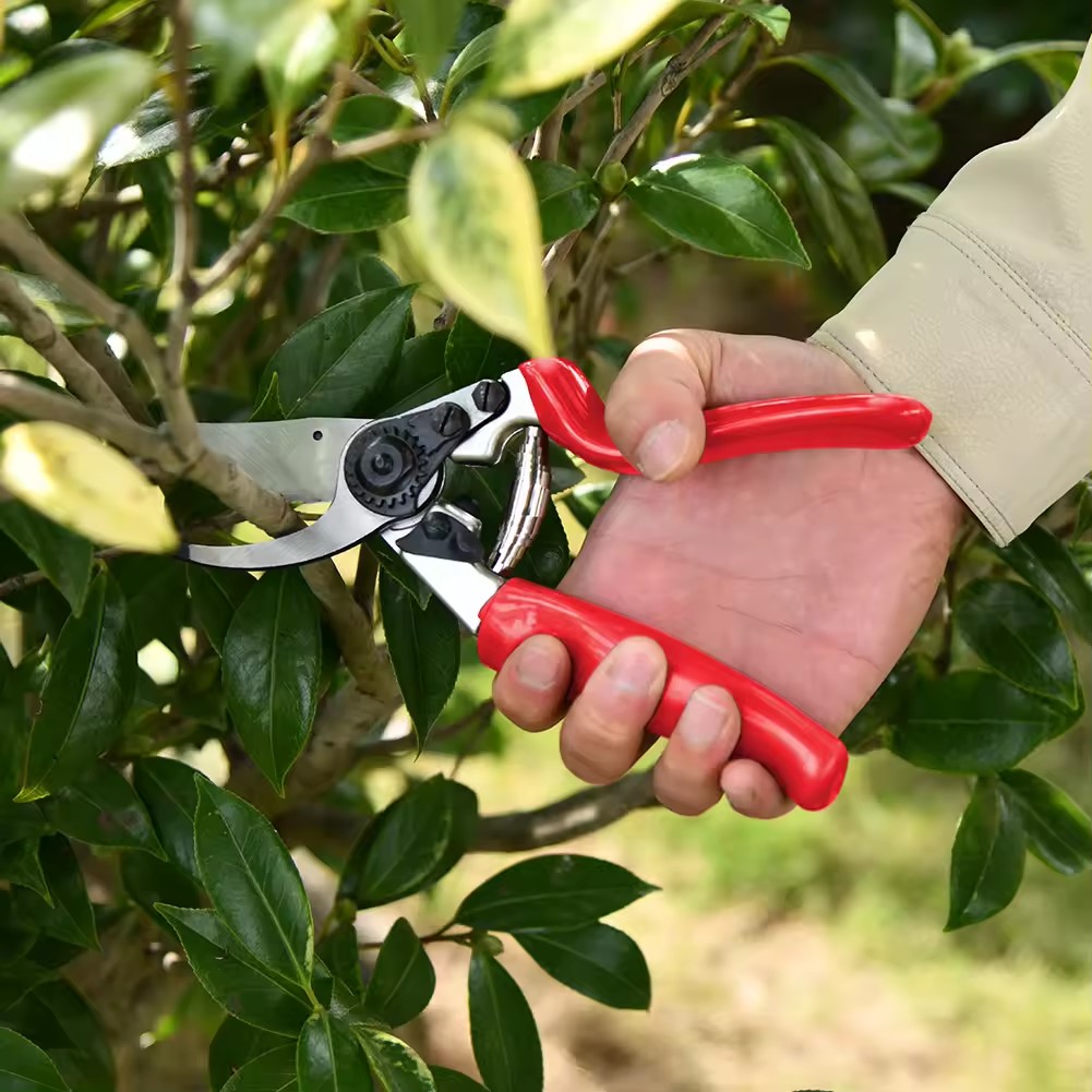 2cm Cutting Capacity Aluminium Drop Forged Small Garden Pruning Shears Bypass Pruners