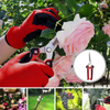 New Design 2 PCS Tree Pruning Pruner Kit Handheld MIni Garden Shear Set