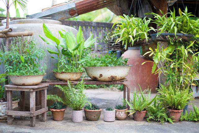 garden greenhouse factory-olivia-008615116134526 olivia@sunrisehorticulture.com
