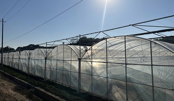 Professional Greenhouse Global Market Research and Analysis Report