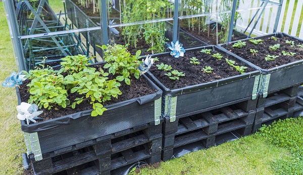 Worm Composting: A Sustainable Approach to Organic Waste Management