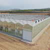 Commercial Greenhouse Agriculatral Greenhouse PC Sheet Glass Multi-Span Film Greenhouse