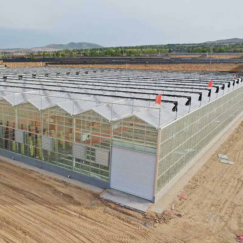 Commercial Greenhouse Agriculatral Greenhouse PC Sheet Glass Multi-Span Film Greenhouse