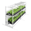 Vertical Grow Racks Greenhouse Mobile Rolling Benches Ebb Flow Hydroponic Grow Table Grow Rack Customizable with Factory Offer