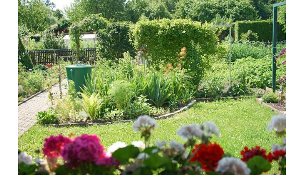 Discover the Joy and Techniques of Home Horticulture:Create a Lush Green Space