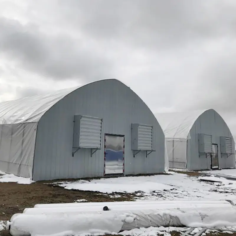Agriculatal Greenhouse Commercial Tunnel Greenhouse Multi-Span Greenhouse Customized Available