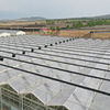 Commercial Greenhouse Agriculatral Greenhouse PC Sheet Glass Multi-Span Film Greenhouse