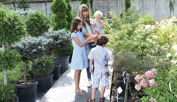 Discover the Joy and Techniques of Home Horticulture: Create a Lush Green Space