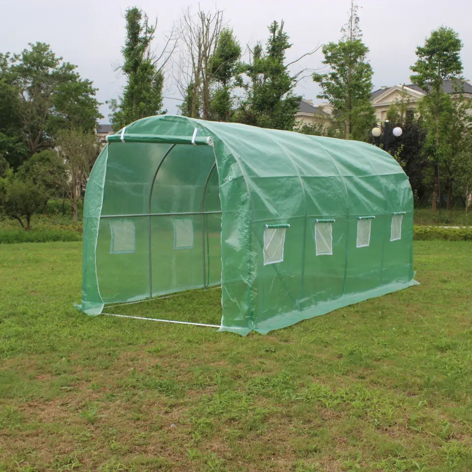 Backyard Greenhouse Mini Greenhouse Portable Green Houses Professional Factory Offer Private Lable Available