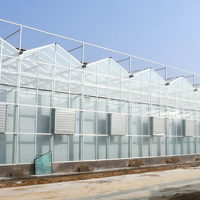Complete Glass Agricultural Greenhouse for Commercial Plants Growing