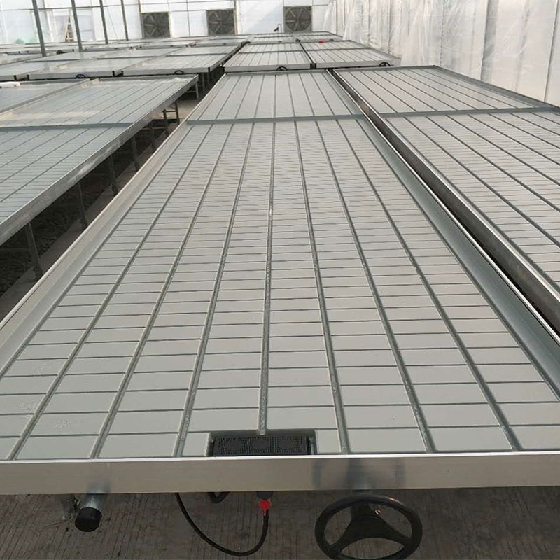 Ebb Flow Hydroponic System Rolling Benches for Growing Greenhouse Growing Tables