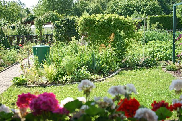 Home Horticulture-olivia-008615116134526 olivia@sunrisehorticulture.com
