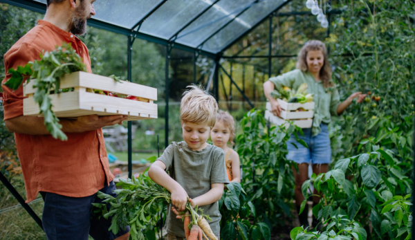 Analysis of Market Demand and Future Development Prospects in the Horticultural Supplies Industry