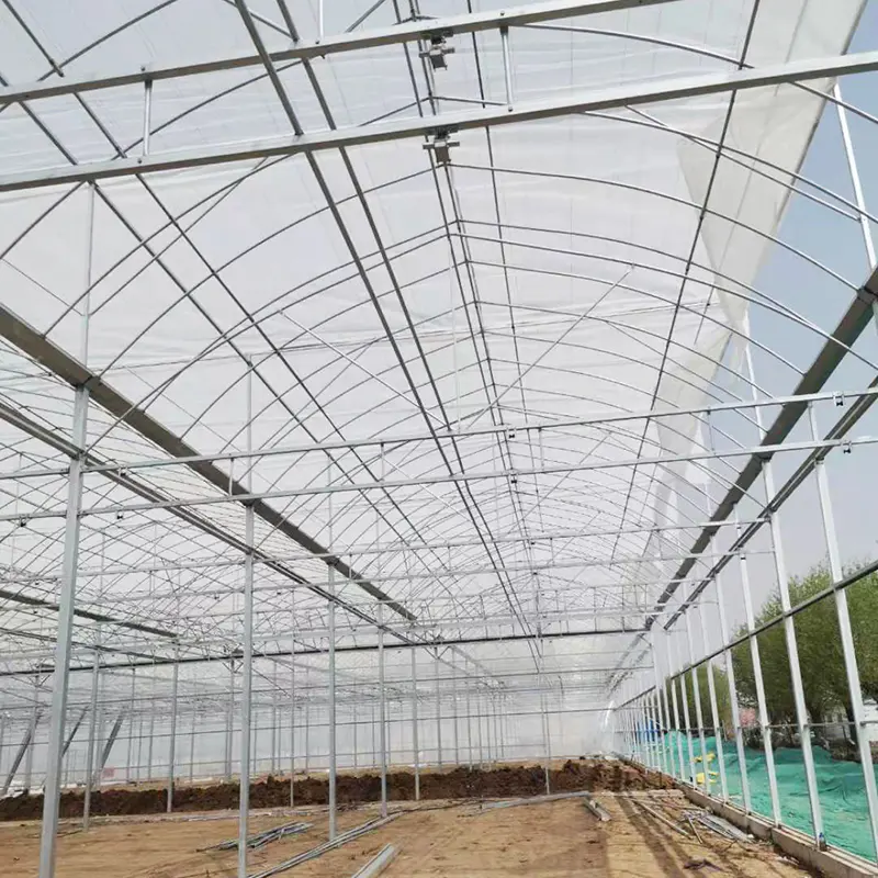Complete Glass Agricultural Greenhouse for Commercial Plants Growing