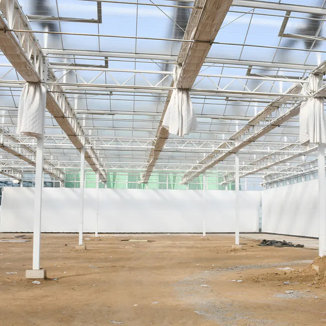 Commercial Plastic Film Greenhouse Multi Span Agricultural Greenhouses
