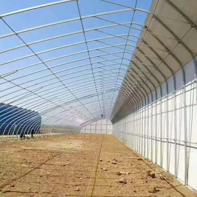 Single-Span Arch Agricultural Tunnel Greenhouse Galvanized Frame Framing Material with Film