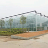 High Quality Multi Span Venlo Glass Greenhouses Galvanized Steel Frame Truss Glass Agricultural Greenhouse