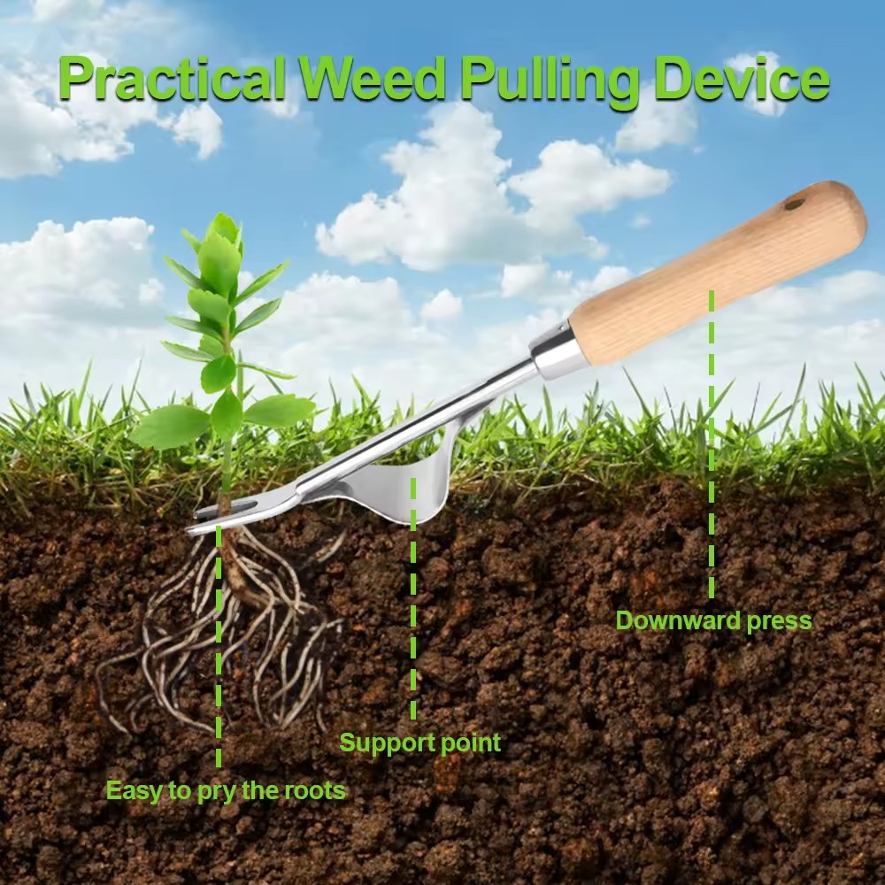  Garden Weeder Taproot Manual Hand Weeder Stainless Steel Weed Remover with Ashtree Wood Handle