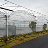 Commercial Plastic Film Greenhouse Multi Span Agricultural Greenhouses