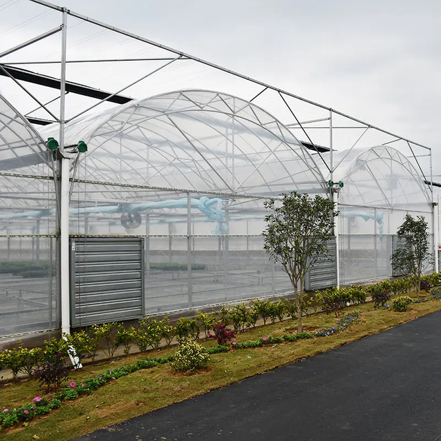 Agricultural Multi Span Plastic Film Greenhouse for Tomato Greenhouse And Strawberry Commercial Greenhouse