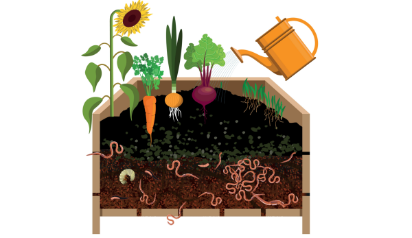 Unlock the Power of Worm Composting: A Sustainable Solution for Rich, Organic Soil