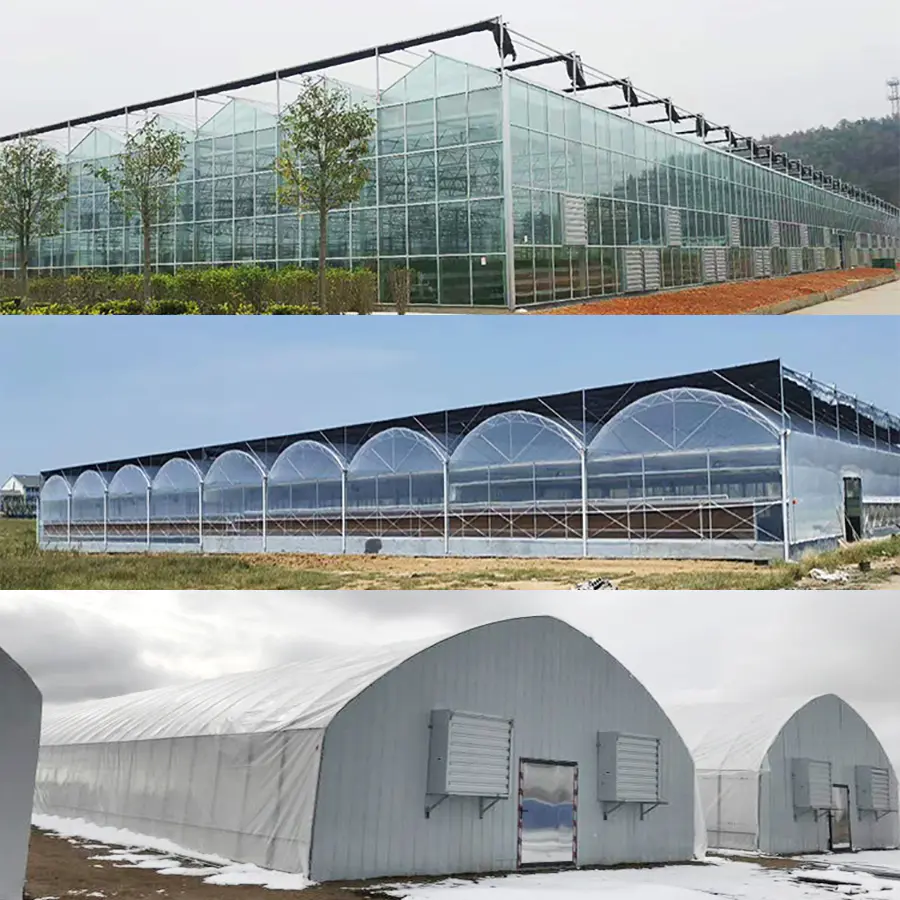 Commercial Greenhouse Agriculatral Greenhouse PC Sheet Glass Multi-Span Film Greenhouse