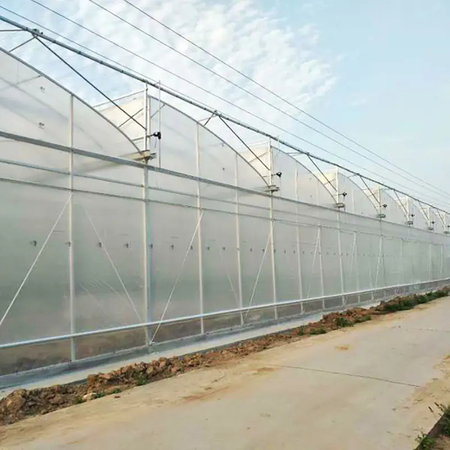 Hot Sale Easily Installed Agricultural Greenhouses Multi Span Greenhouse for Sale