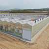 Commercial Agricultural Greenhouses Multi-Span Greenhouse Glass Greenhouses PC Sheet Greenhouse Film Greenhouse