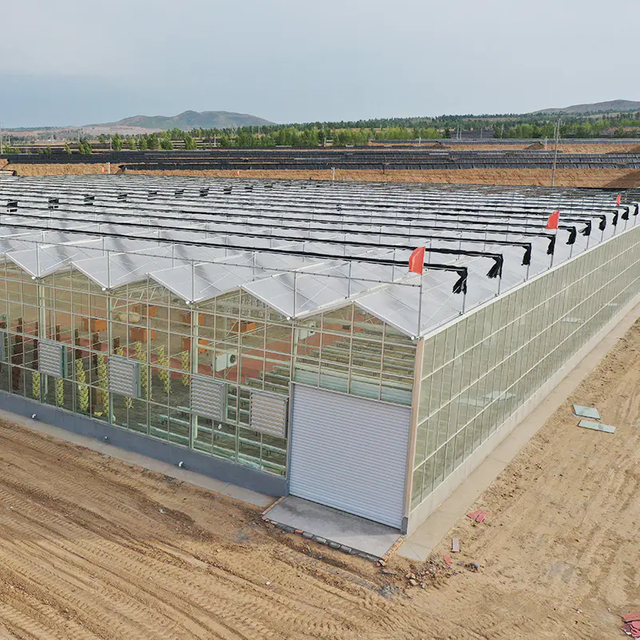 Commercial Agricultural Greenhouses Multi-Span Greenhouse Glass Greenhouses PC Sheet Greenhouse Film Greenhouse