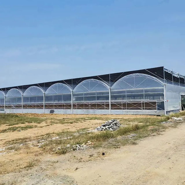 Commercial Greenhouse Multi-Span Greenhouse for for Agricultural Growing