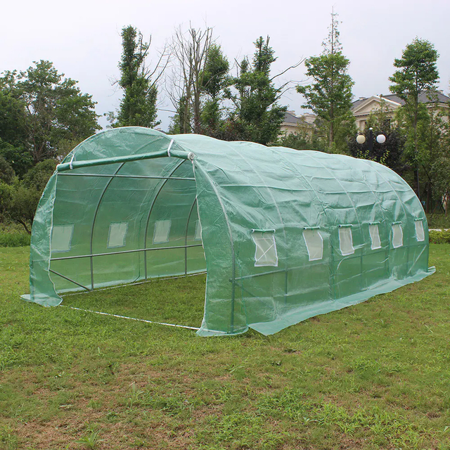 20'x10' Polytunnel Greenhouse Mini Green house