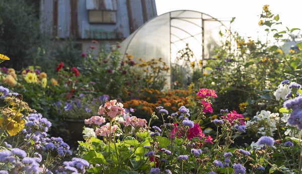 How to Build a Small Greenhouse
