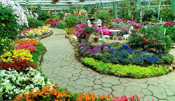 Common Greenhouse Plants