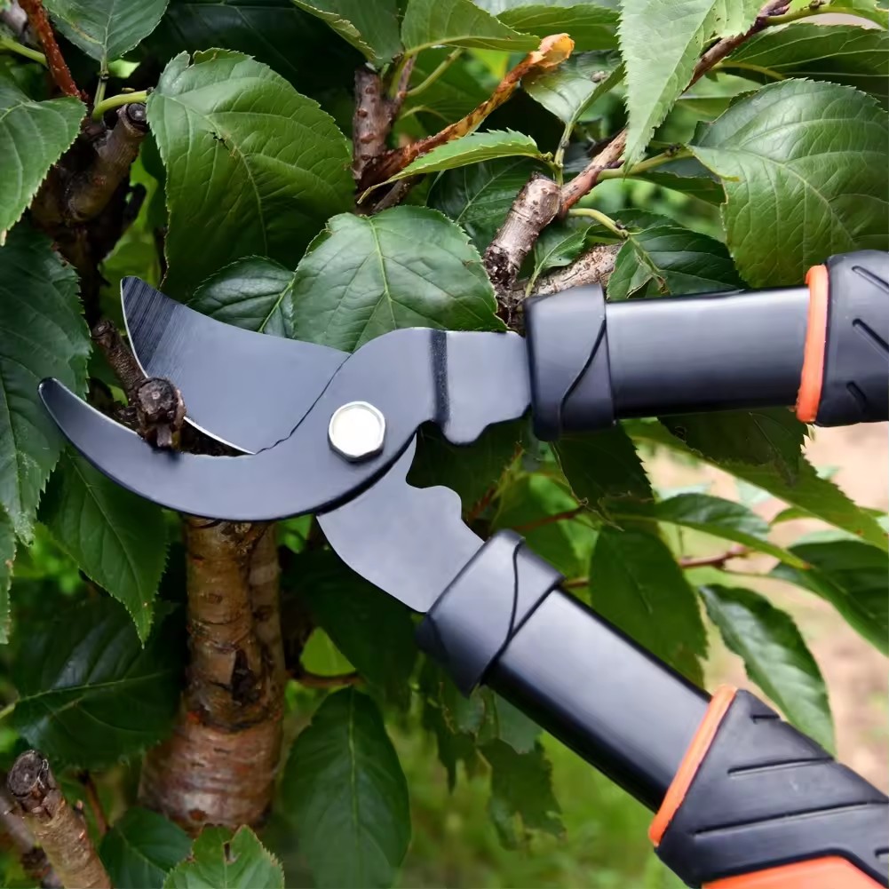 2 Pieces Pruning Shear Gardening Hand Bypass Secateurs Lopper Shear Set