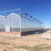 Polycarbonate PC Sheet Greenhouse Agriculatural Greenhouse for Commerical Plants Growing
