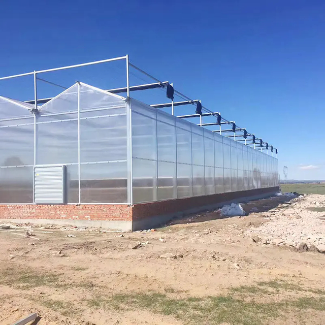 Galvanized Steel Frame Multi Span PC Greenhouse for Agricultural Low Cost Tunnel Greenhouse for Flowers Plant