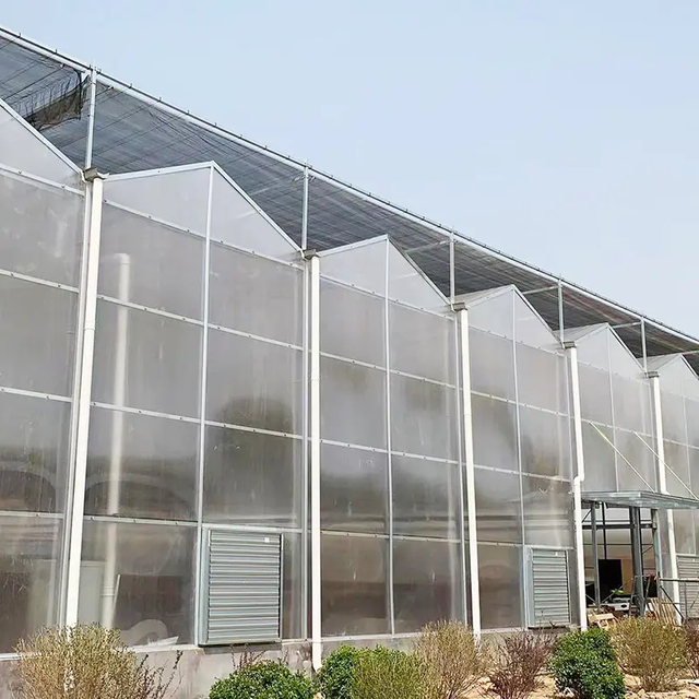 Factory Supply Large Agricultural Glass Greenhouses For Commercial Plants Growing