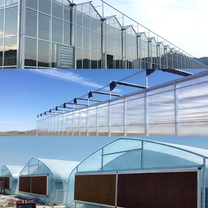 Commercial Greenhouse Agriculatral Greenhouse PC Sheet Glass Multi-Span Film Greenhouse