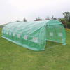 Walk-in Tunnel Greenhouse Tunnel Green house